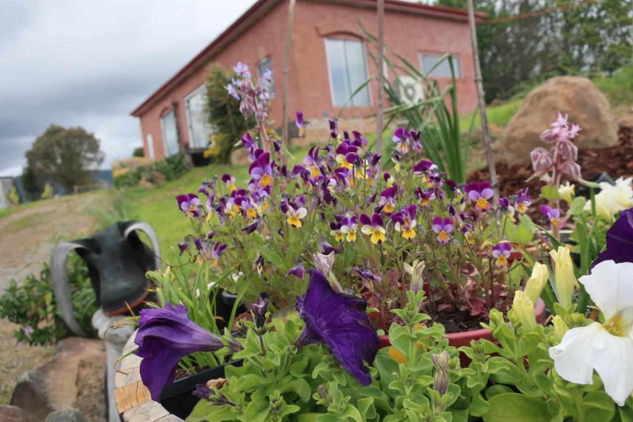 Cherry Top Farmstay - Boutique Eco Village Lilydale المظهر الخارجي الصورة