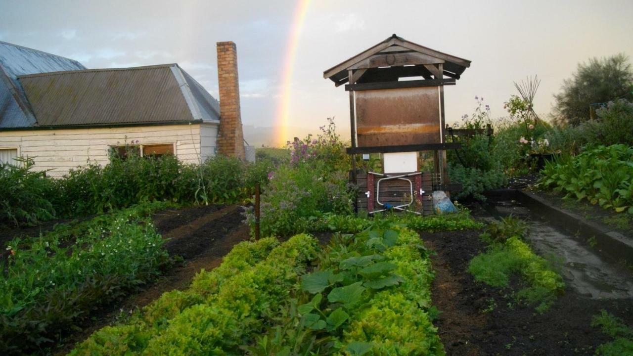 Cherry Top Farmstay - Boutique Eco Village Lilydale المظهر الخارجي الصورة