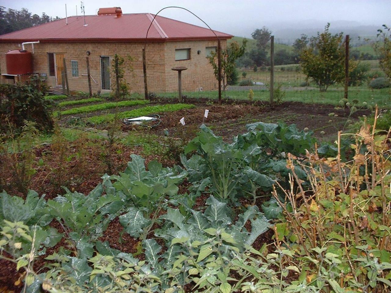 Cherry Top Farmstay - Boutique Eco Village Lilydale المظهر الخارجي الصورة