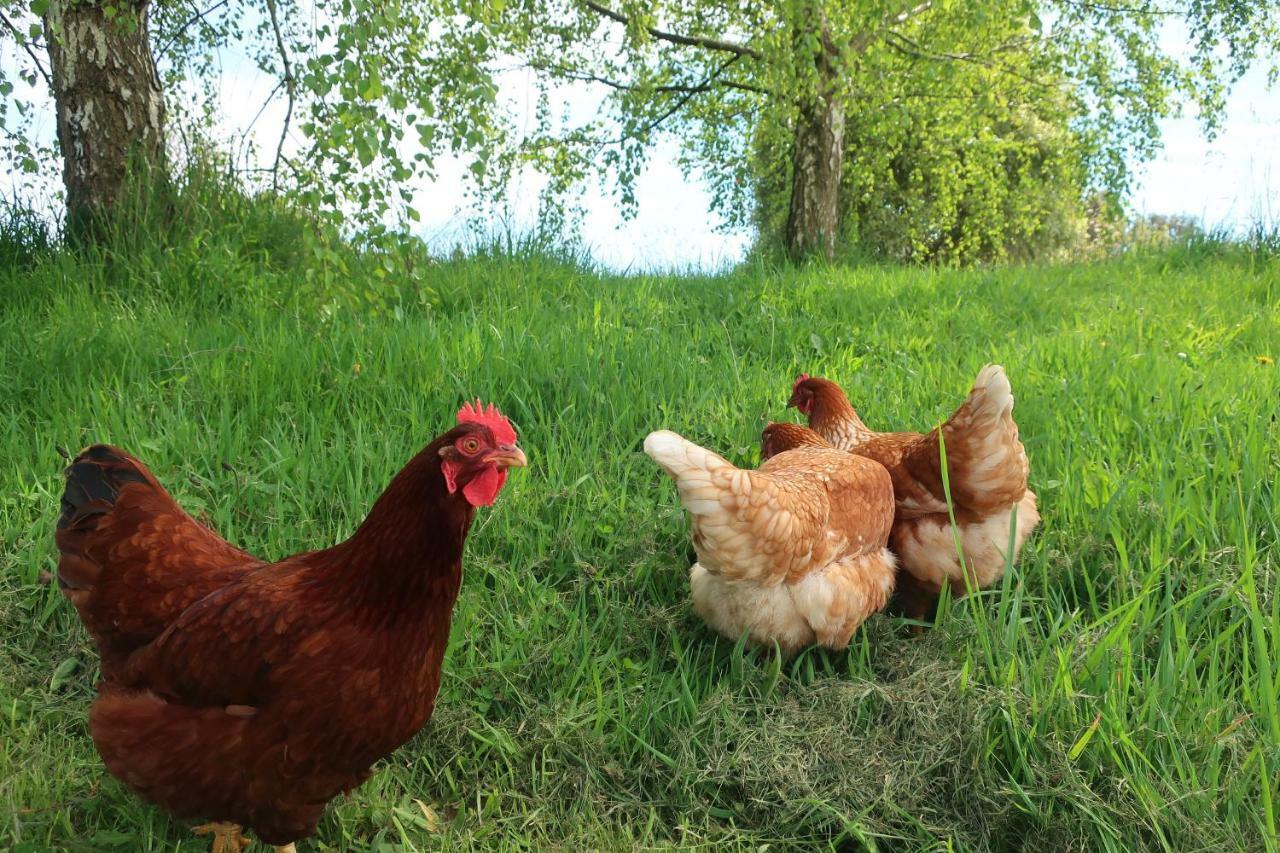 Cherry Top Farmstay - Boutique Eco Village Lilydale المظهر الخارجي الصورة