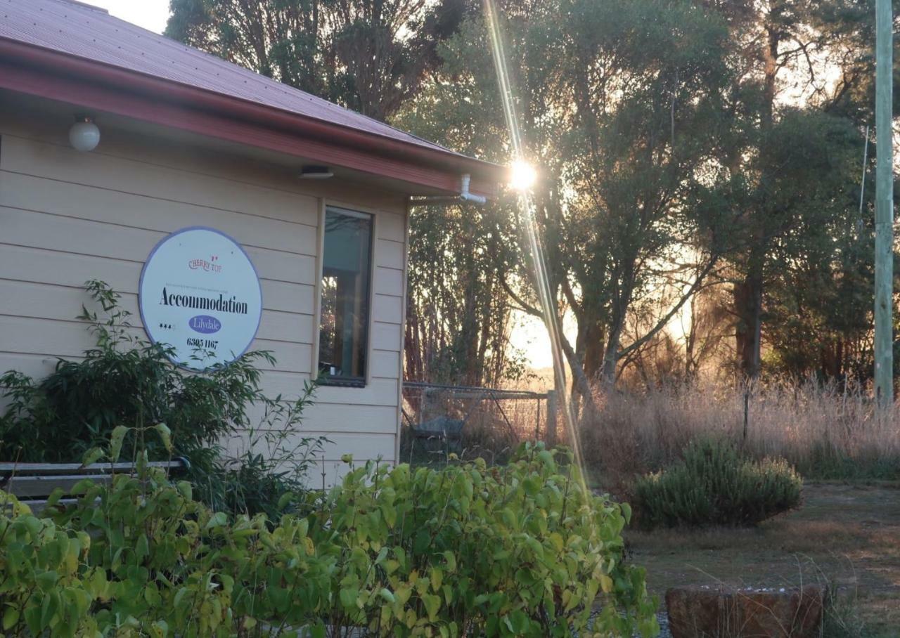 Cherry Top Farmstay - Boutique Eco Village Lilydale المظهر الخارجي الصورة